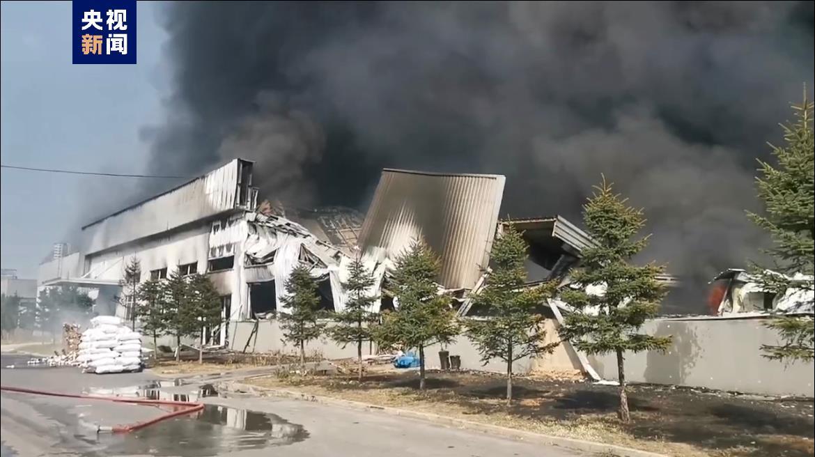 ag金龙珠爆分